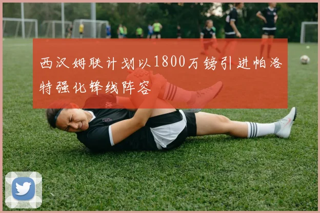 西汉姆联计划以1800万镑引进帕洛特强化锋线阵容