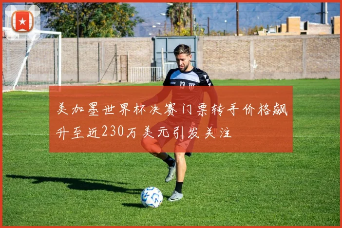 美加墨世界杯决赛门票转手价格飙升至近230万美元引发关注